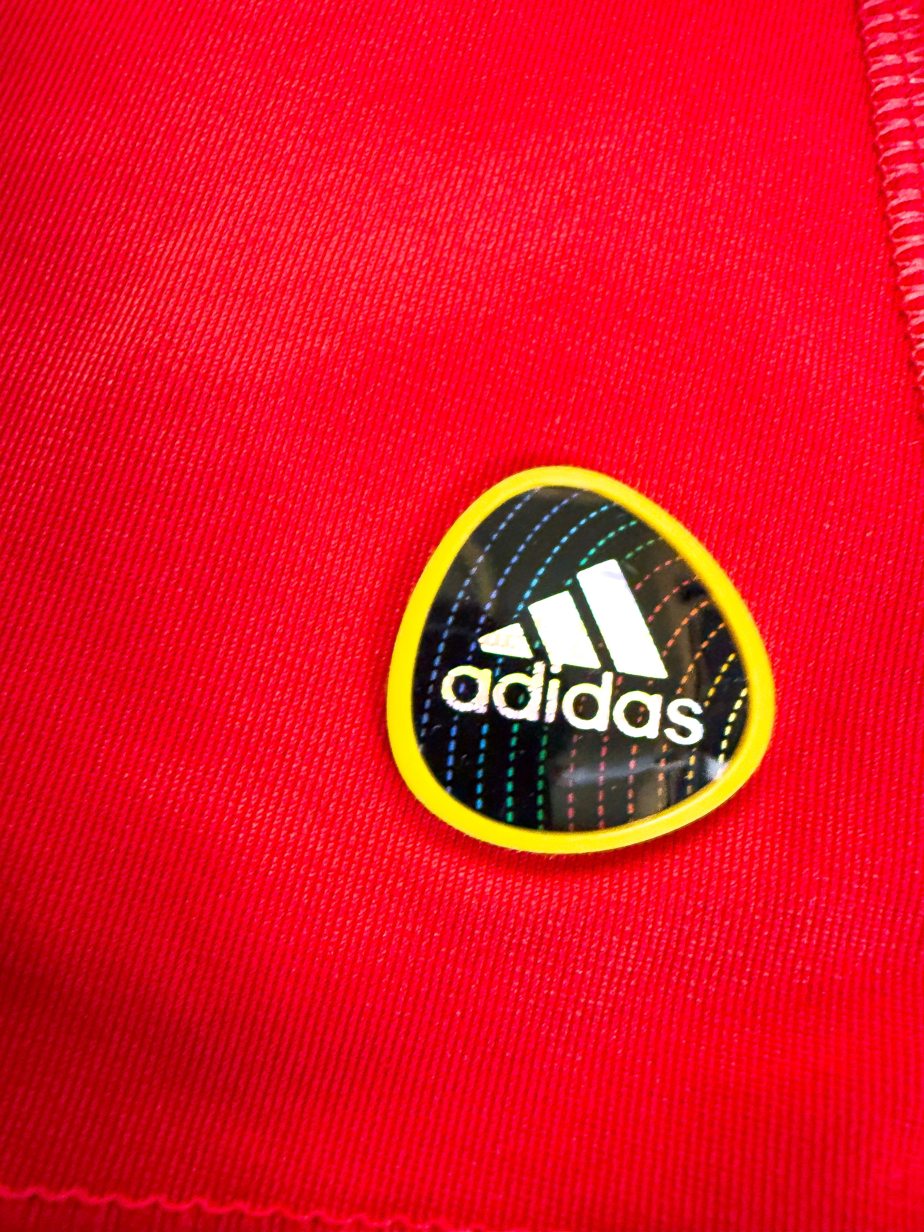 Maillot Espagne 2010 Home (M) INIESTA #6