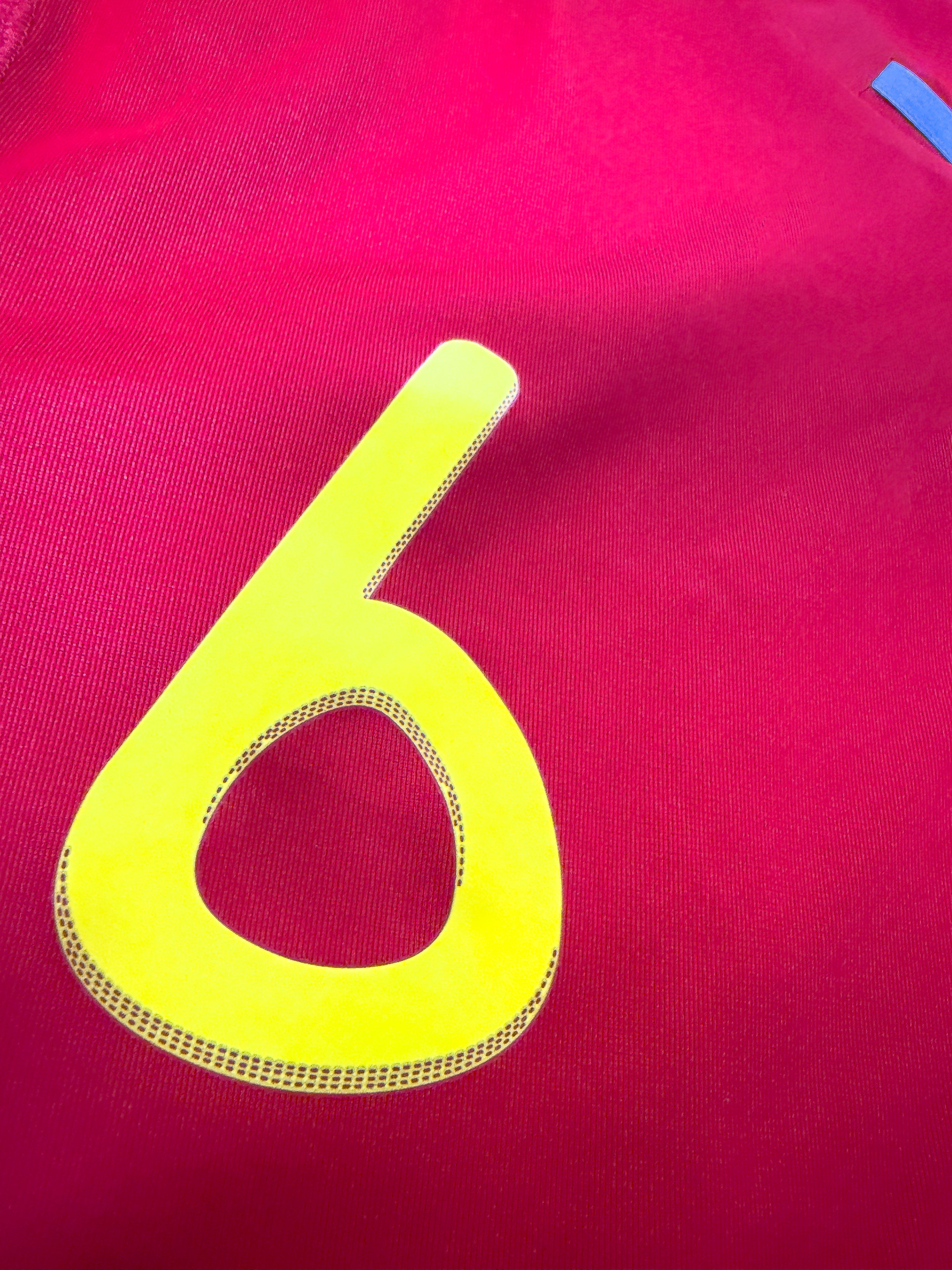 Maillot Espagne 2010 Home (M) INIESTA #6