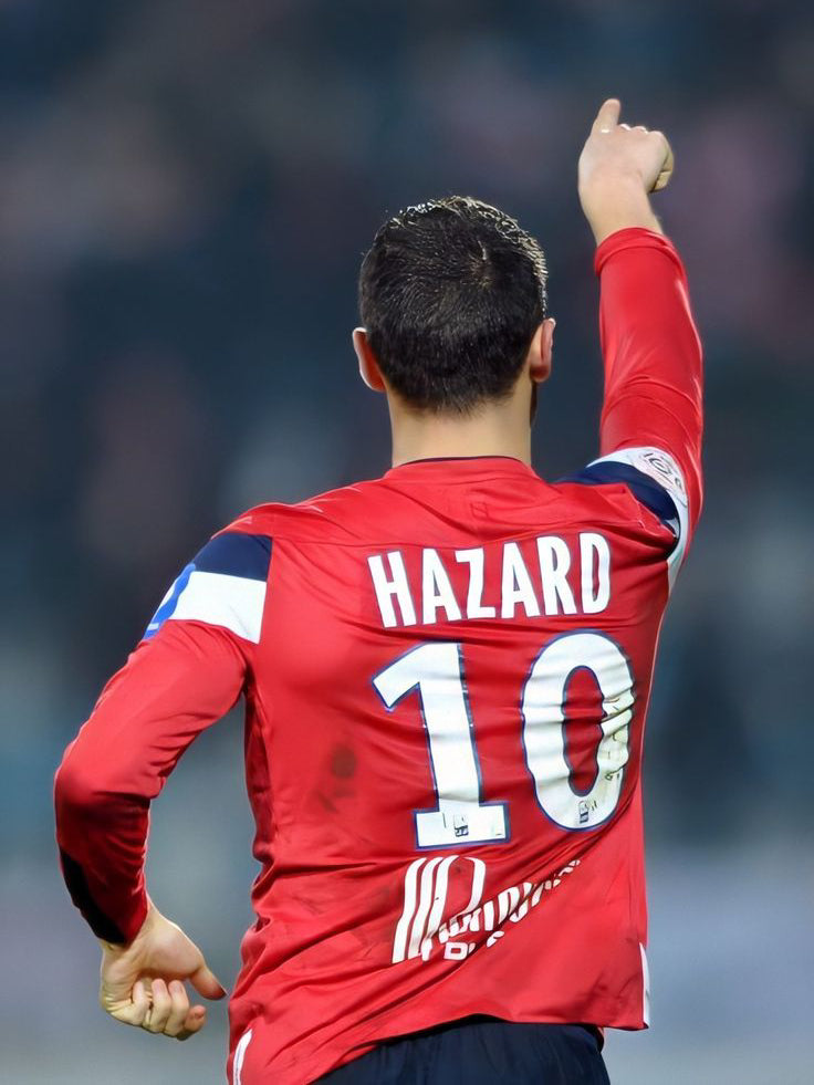 LOSC Lille 2011/12 Home (L) HAZARD #10
