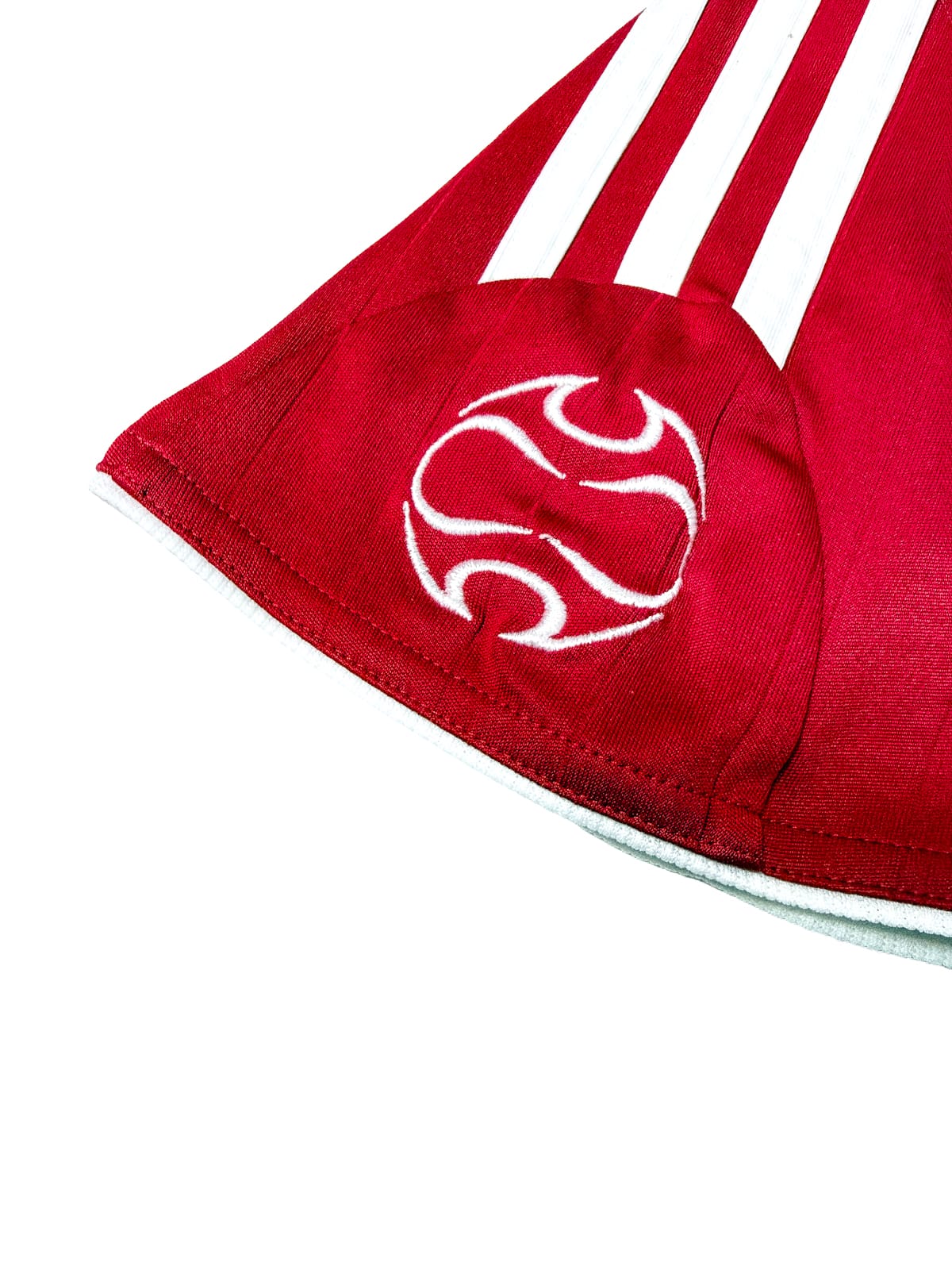 Maillot Danemark 2006 Home (M) TOMASSON #9